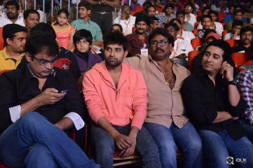 Temper Movie Audio Launch